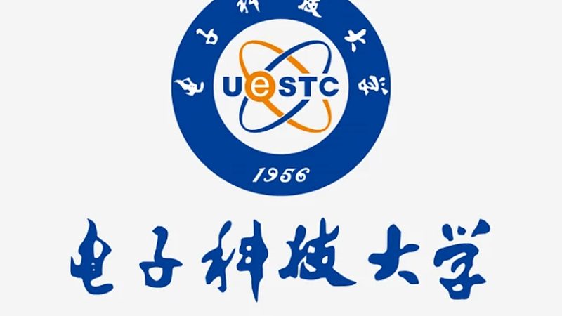 揭秘双面线路板：十大品牌背后的技术实力与市场格局**