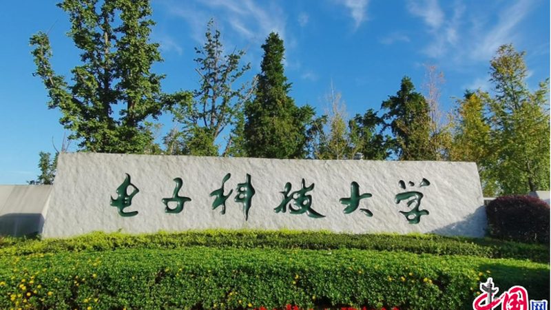 电子设计入门：作品制作流程全解析